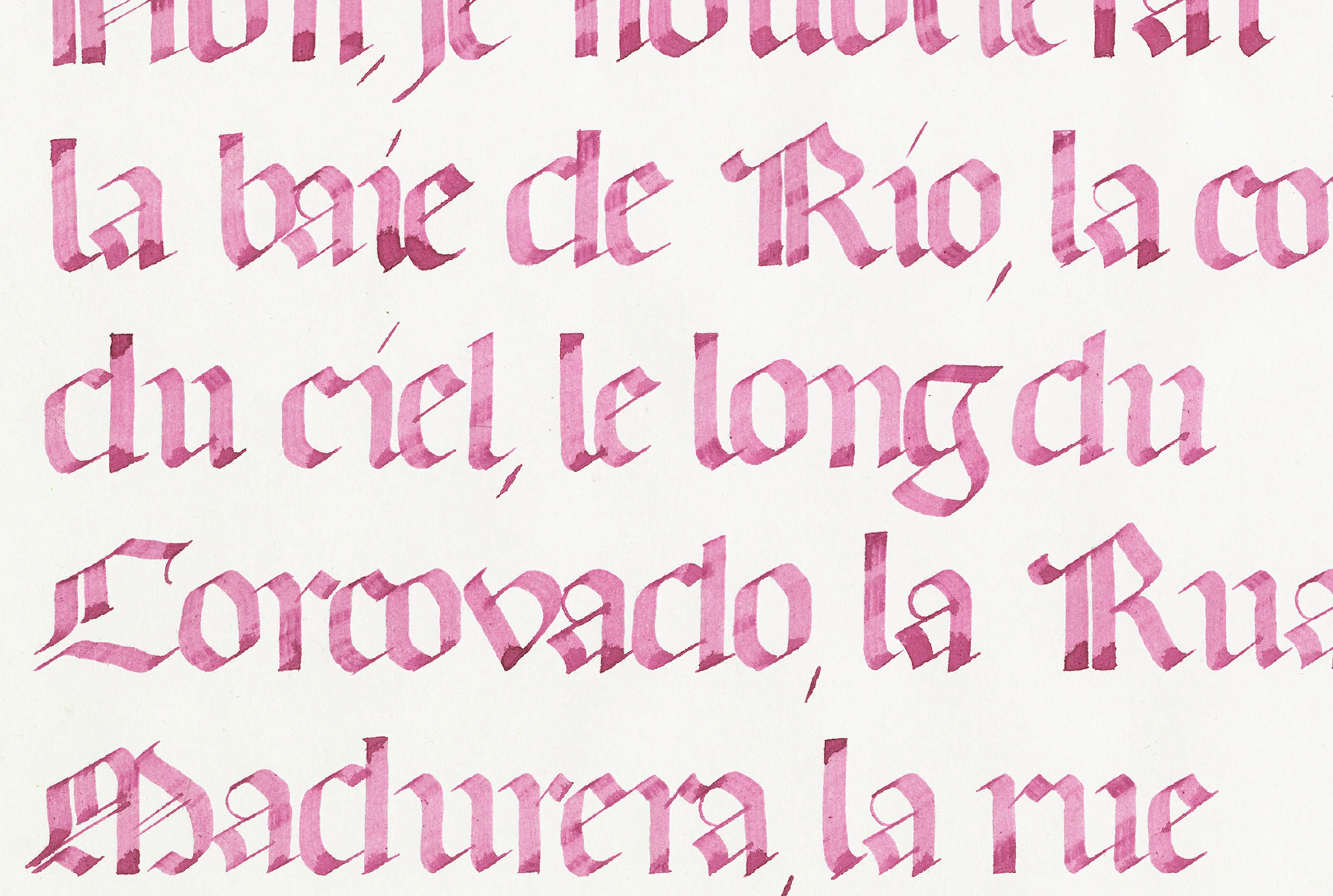 Calligraphie Gothique Rotunda rose